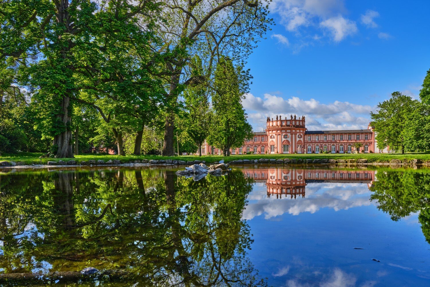 🏰 비브리히 성(슐로스 비브리히)